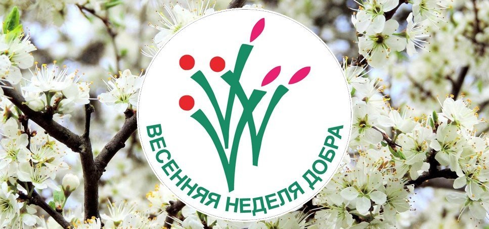 ВЕСЕННЯЯ НЕДЕЛЯ ДОБРА 2024.